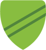 100-non-recourse-loans