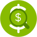 magnify-dollar-sign-circle